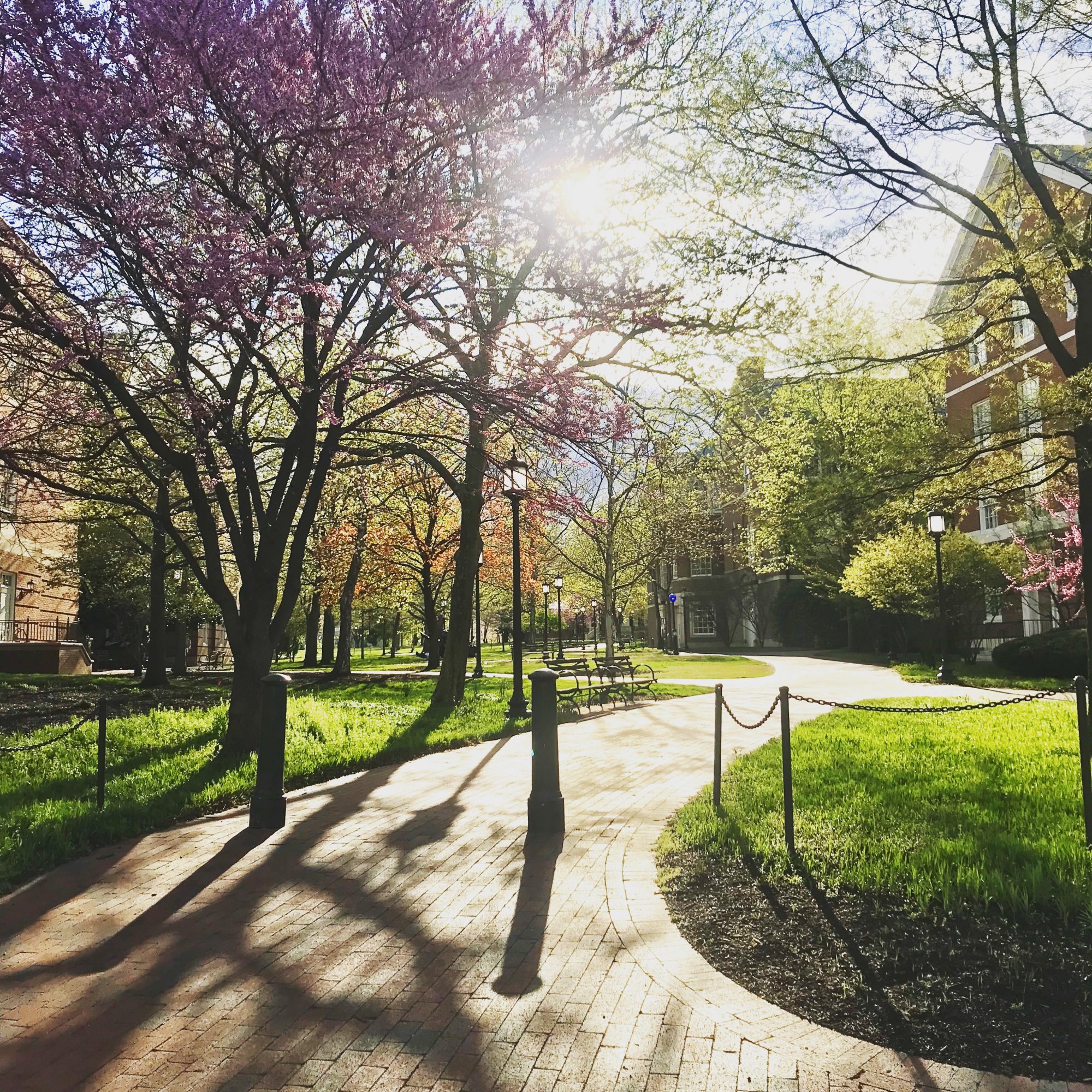 Johns Hopkins Homewood campus