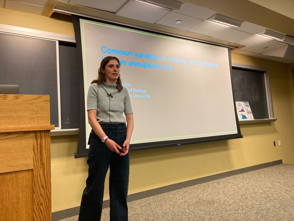 Sara Carioscia's thesis defense